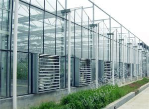 How to conduct greenhouse greenhouse dis